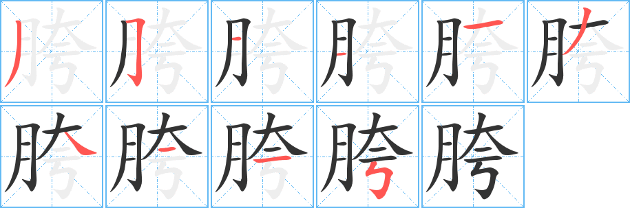 胯的筆順筆畫(huà)