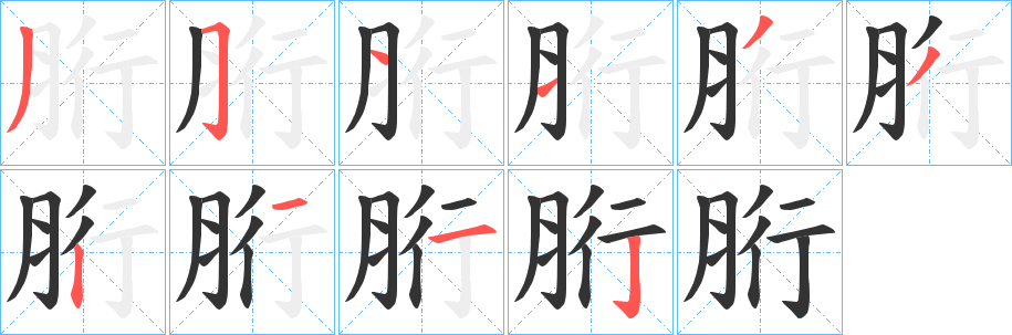 胻的筆順筆畫(huà)