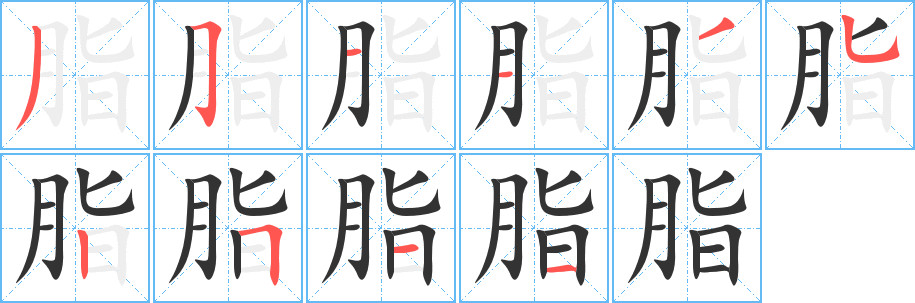 脂的筆順筆畫