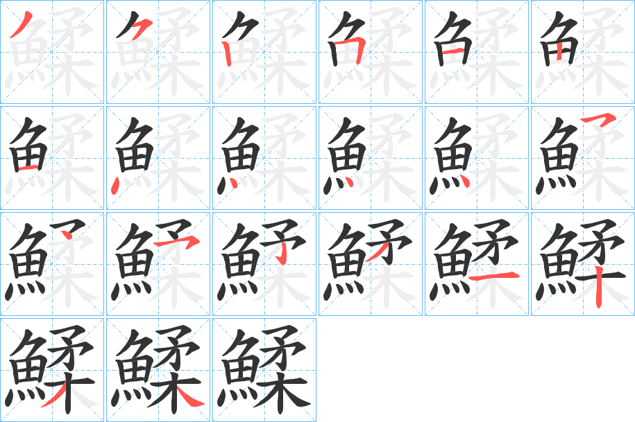 鰇的筆順筆畫