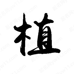 禹衛(wèi)寫的行書植